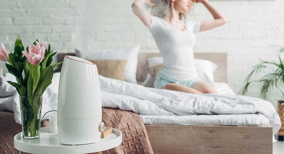 Очиститель воздуха: рейтинг лучших бытовых ионизаторов 2020 года, подбираем эффективные типы для дома и квартиры