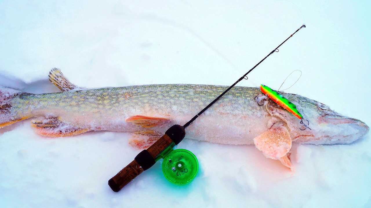 20 лучших вещей для рыбалки с алиэкспресс